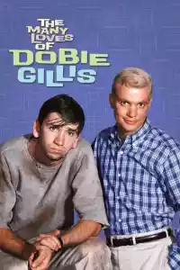 Jaquette : The Many Loves of Dobie Gillis