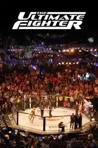 Affiche de la série The Ultimate Fighter