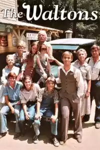 Jaquette : The Waltons