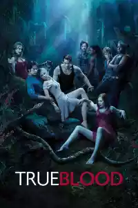 Affiche de la série True Blood