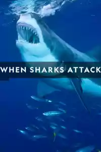 Affiche de la série When Sharks Attack