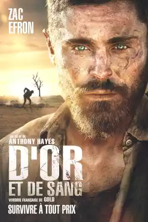 Affiche du film Gold