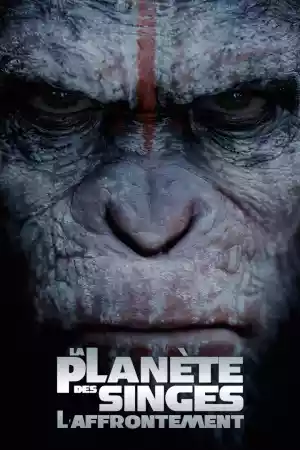 Affiche du film La Planète des singes : L'Affrontement