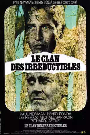 Affiche du film Le Clan des irréductibles
