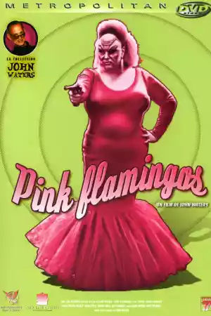 Affiche du film Pink Flamingos