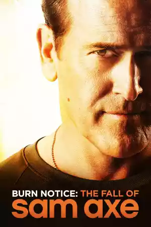 Affiche du film Sam Axe, La dernière Mission