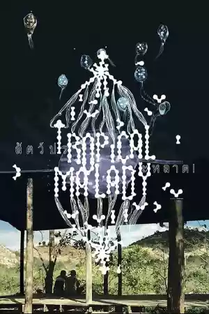 Affiche du film Tropical Malady