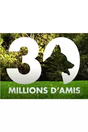 Affiche de la série 30 millions d'amis