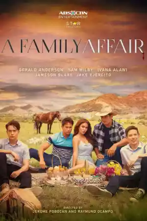 Affiche de la série A Family Affair