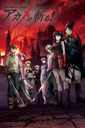 Affiche de la série Akame ga Kill!