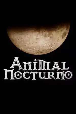 Affiche de la série Animal nocturno