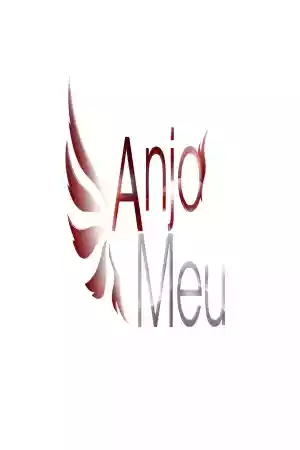 Affiche de la série Anjo Meu