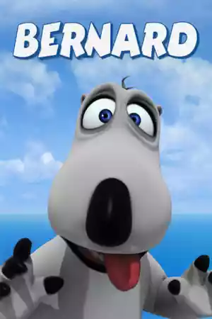 Affiche de la série Bernard