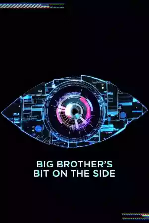 Affiche de la série Big Brother's Bit on the Side