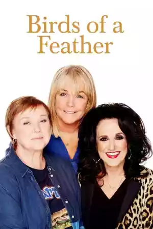 Affiche de la série Birds of a Feather
