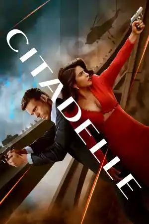 Affiche de la série Citadelle