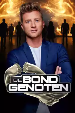 Affiche de la série De Bondgenoten