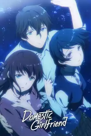 Affiche de la série Domestic na Kanojo