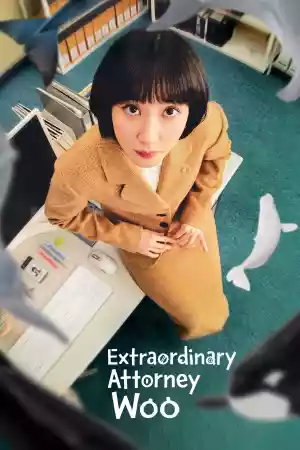 Affiche de la série Extraordinary Attorney Woo