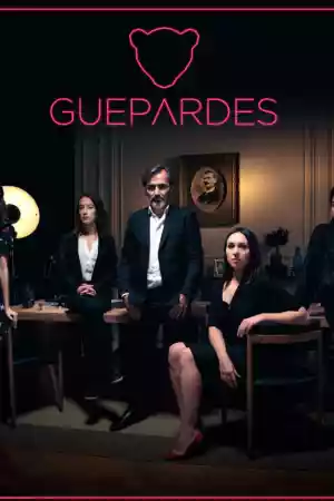 Affiche de la série Guépardes