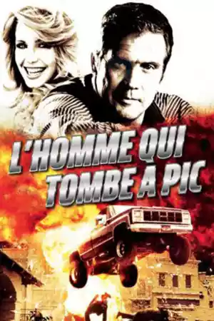 Affiche de la série L'homme qui tombe à pic