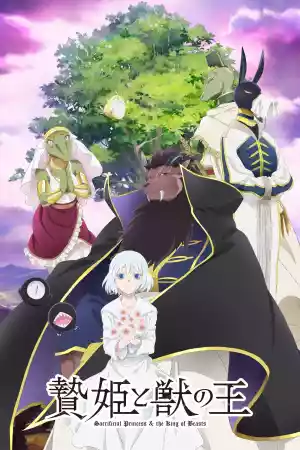 Affiche de la série La Princesse et la Bête