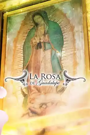 Affiche de la série La rosa de Guadalupe