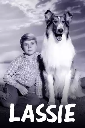 Affiche de la série Lassie