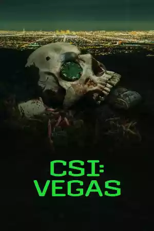 Affiche de la série Les experts : Vegas