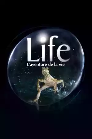 Affiche de la série Life, l'aventure de la vie