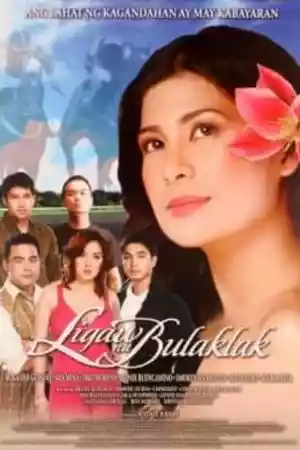 Affiche de la série Ligaw na Bulaklak