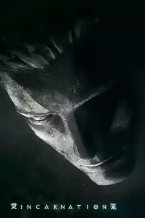 Affiche de la série Ling Long: Incarnation