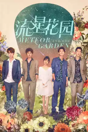 Affiche de la série Meteor Garden