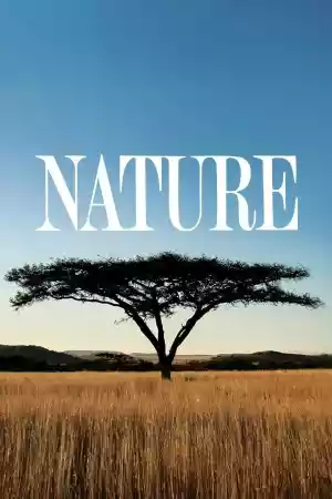Affiche de la série Nature