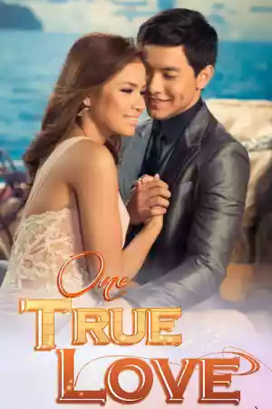 Affiche de la série One True Love