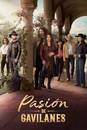 Affiche de la série Pasión de gavilanes
