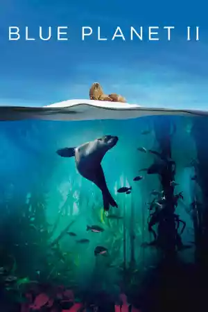 Affiche de la série Planète bleue