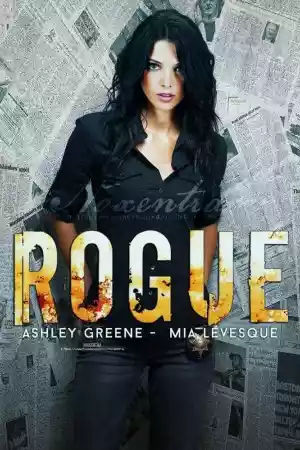 Affiche de la série Rogue