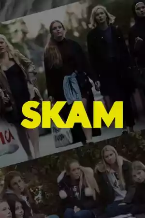 Affiche de la série SKAM