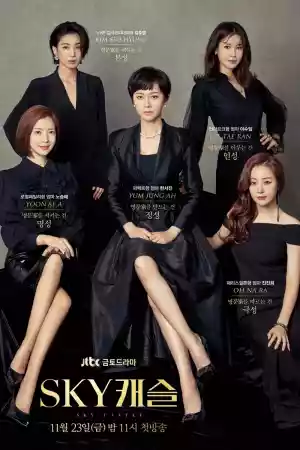 Affiche de la série SKY Castle