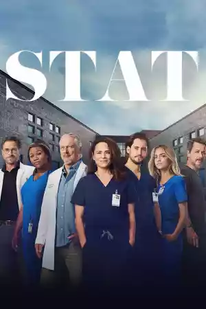 Affiche de la série STAT