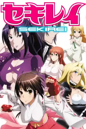 Affiche de la série Sekirei