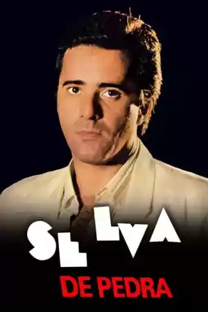 Affiche de la série Selva de Pedra