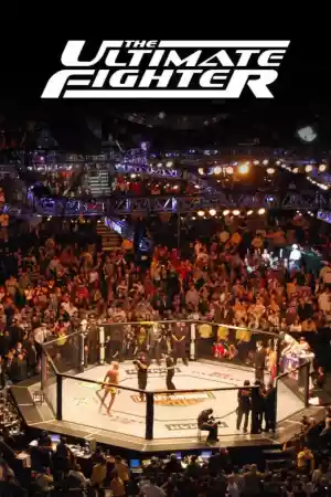 Affiche de la série The Ultimate Fighter