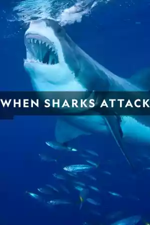 Affiche de la série When Sharks Attack