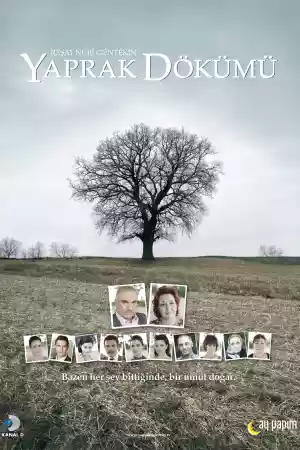 Affiche de la série Yaprak Dökümü