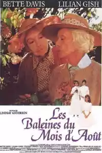 Jaquette : Les Baleines du mois d'août